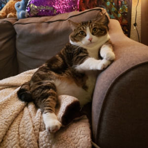 Meet your Posher, Trish